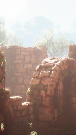 overgrown ruins in the jungle
