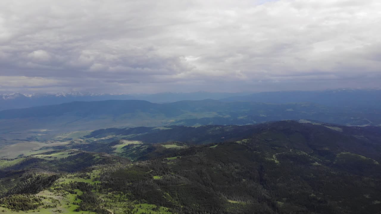 백그라운드에서 푸른 언덕, 소나무 및 산의 높은 고도 무인 항공기