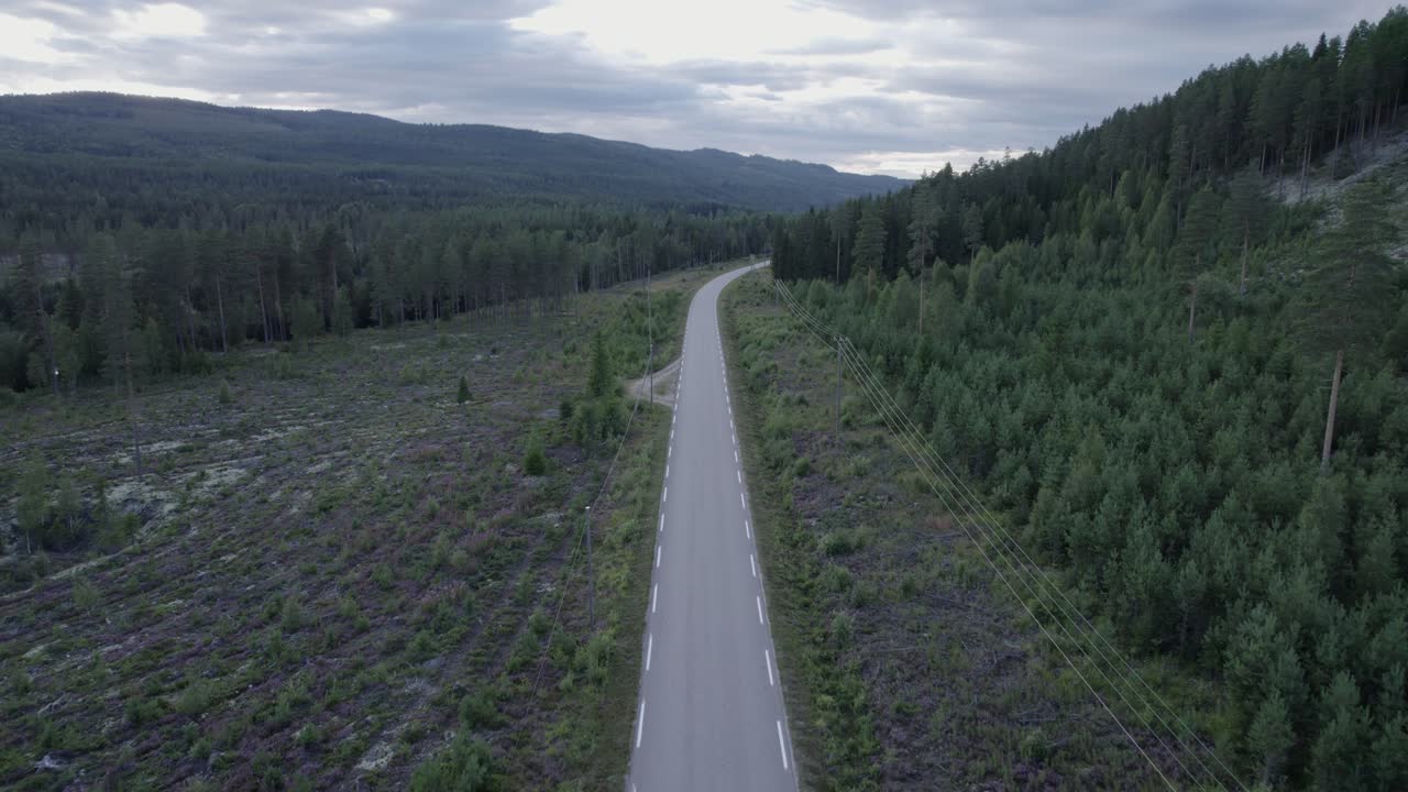 그린 필드를 통해 빈 산길에 상위 뷰