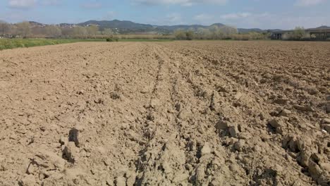 dolly aéreo bajo, tiro derecho sobre el campo después de la cosecha