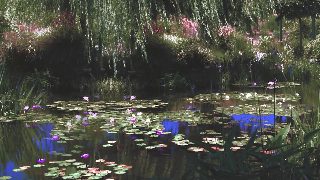 A lake with lots of vegetation and a reflection of the sky