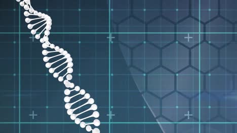 Animation-of-a-white-dna-strain-spinning-over-a-grid