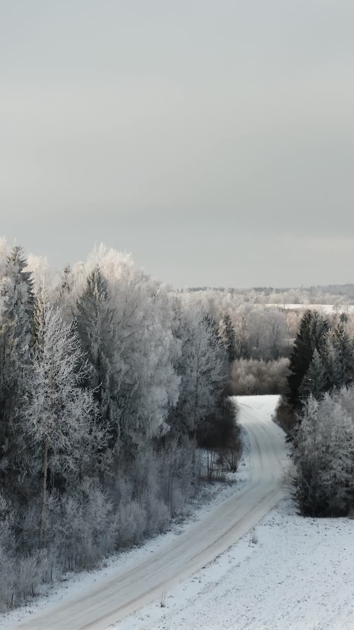 White frozen trees in winter. Artic hoar frost on trees after cold winter weather. Vertical drone shot of country road and snowy trees in winter wonderland scenery.