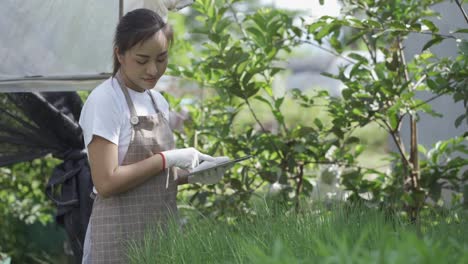 smart farm concept and farm technology a smart asian girl uses a tablet to check the quality and quantity of the organic vegetable garden at the garden houses.