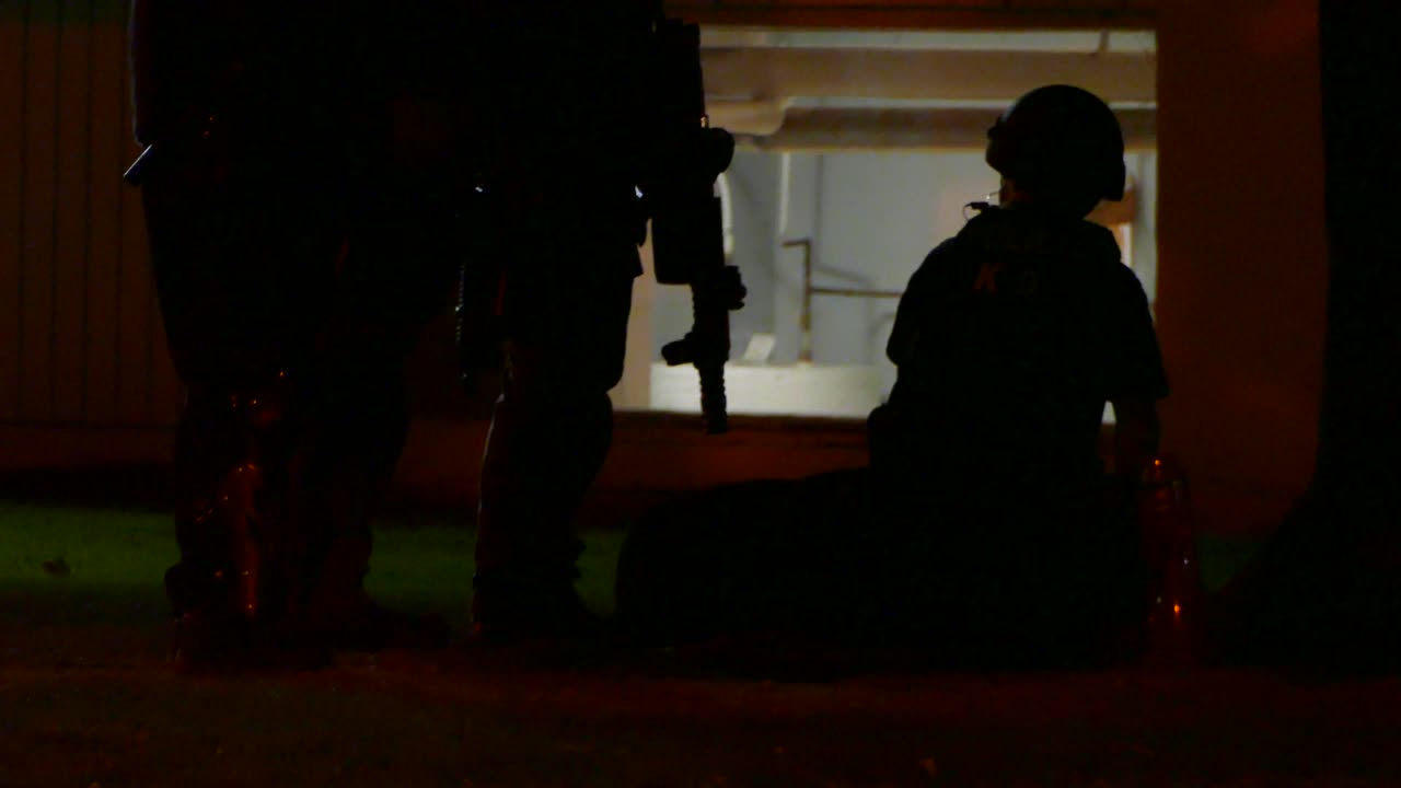 Silhouetted Figures in a Low-Light Tactical Setting with a K-9 Officer