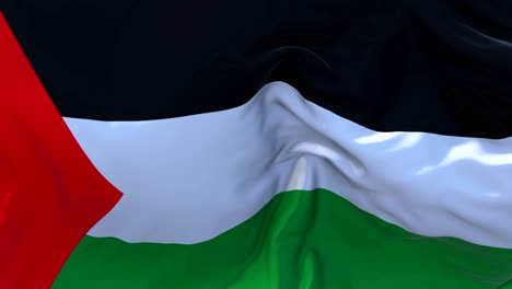 palestine flag waving in wind slow motion animation . 4k realistic fabric texture flag smooth blowing on a windy day continuous seamless loop background.