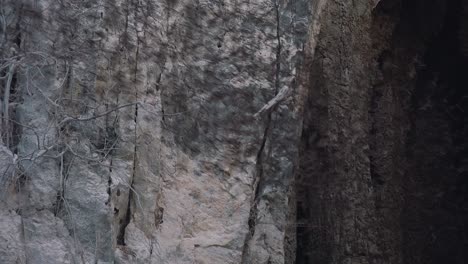 Toma-Exterior-Cercana-De-Miles-De-Murciélagos-Que-Salen-Volando-De-La-Cueva