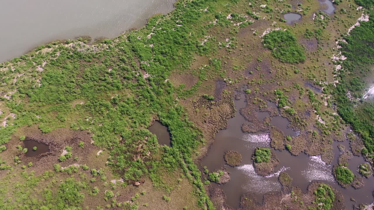 vista aérea de la gran isla de louisiana
