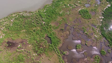 Vista-Aérea-De-La-Gran-Isla-De-Louisiana