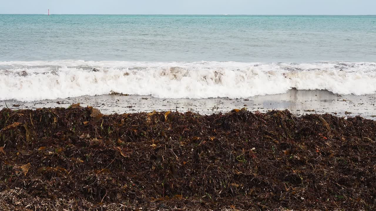 더러운 물에 작은 파도가 부서진다