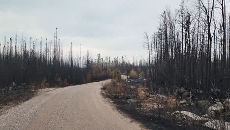 Vista-De-Las-Secuelas-Del-Incendio,-Bosque-Devastado-Y-Quemado-En-Kirkland-Lake,-Ontario