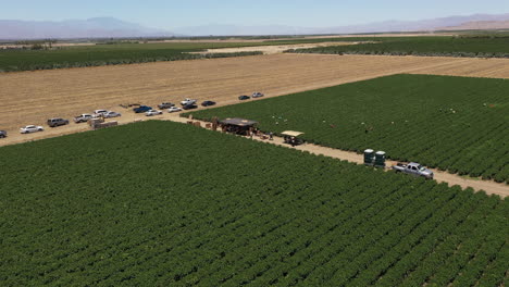 Drone-footage-of-an-American-farmer-working-on-a-field-in-the-Palm-Spring-Valley,-near- Los-Angeles,-California