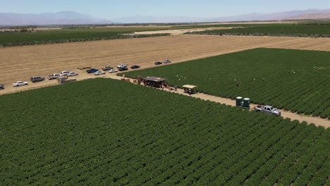 imágenes de drones de un agricultor estadounidense que trabaja en un campo en el valle de palm spring, cerca de los ángeles, california