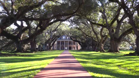 A-beautiful-gracious-Southern-mansion-amongst-a-long-treelined-arcade