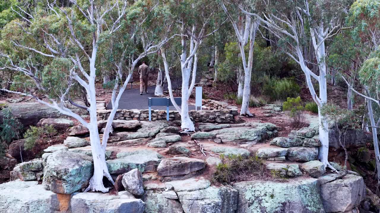 Drone camera pulls back from a rocky lookout surrounded by eucalyptus trees in Warrumbungle National Park, revealing dense native forest in soft daylight