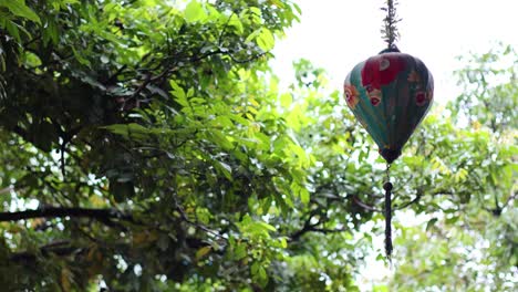 la linterna tradicional se balancea en medio del exuberante follaje verde.