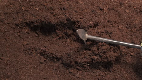 farmer preparing ground hoeing with trowel and planting vegetable tomato in organic agriculture cultivation