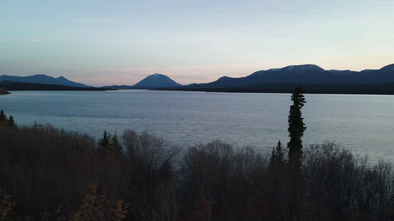 froward aéreo sobre el bosque junto al lago atlin, montañas en el fondo