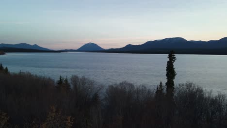 aerial froward over forest by the atlin lake, mountains on background