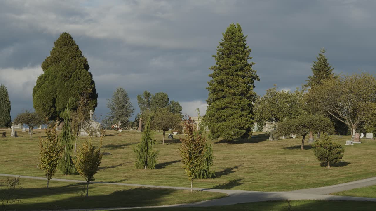 paisaje de un cementerio con grandes árboles en el viento