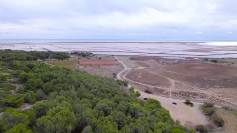 Toma-Aérea-Inclinada-Que-Revela-Los-Estanques-Y-El-Paisaje-De-Las-Salinas-De-Sete.