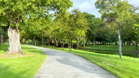 a peaceful walk through a verdant golf course