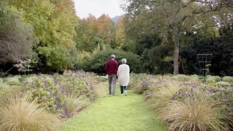 senior biracial couple holding hands and walking together in sunny garden, unaltered, in slow motion