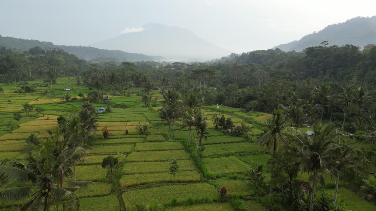 una vibrante vista del amanecer del monte agung en bali con árboles tropicales en los alrededores