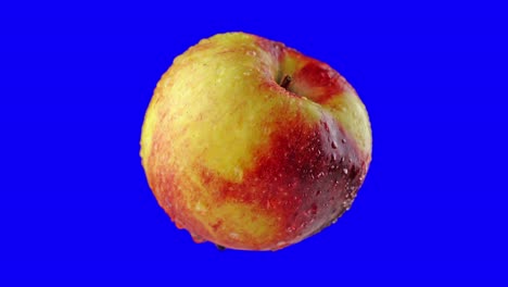 la manzana gira en la pantalla azul para la tecla de croma
