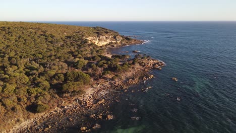 Drohnenluftaufnahme-über-Einem-Natürlichen-Nationalpark-Voller-Bäume-Am-Strand