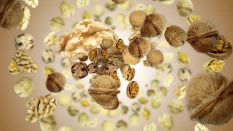 falling walnuts background, loop,  animation, rendering, with alpha channel