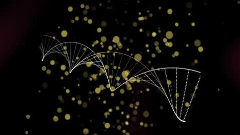 흑색 배경 위에 빛의 반점이 빛나고 회전하는 dna 줄무의 애니메이션