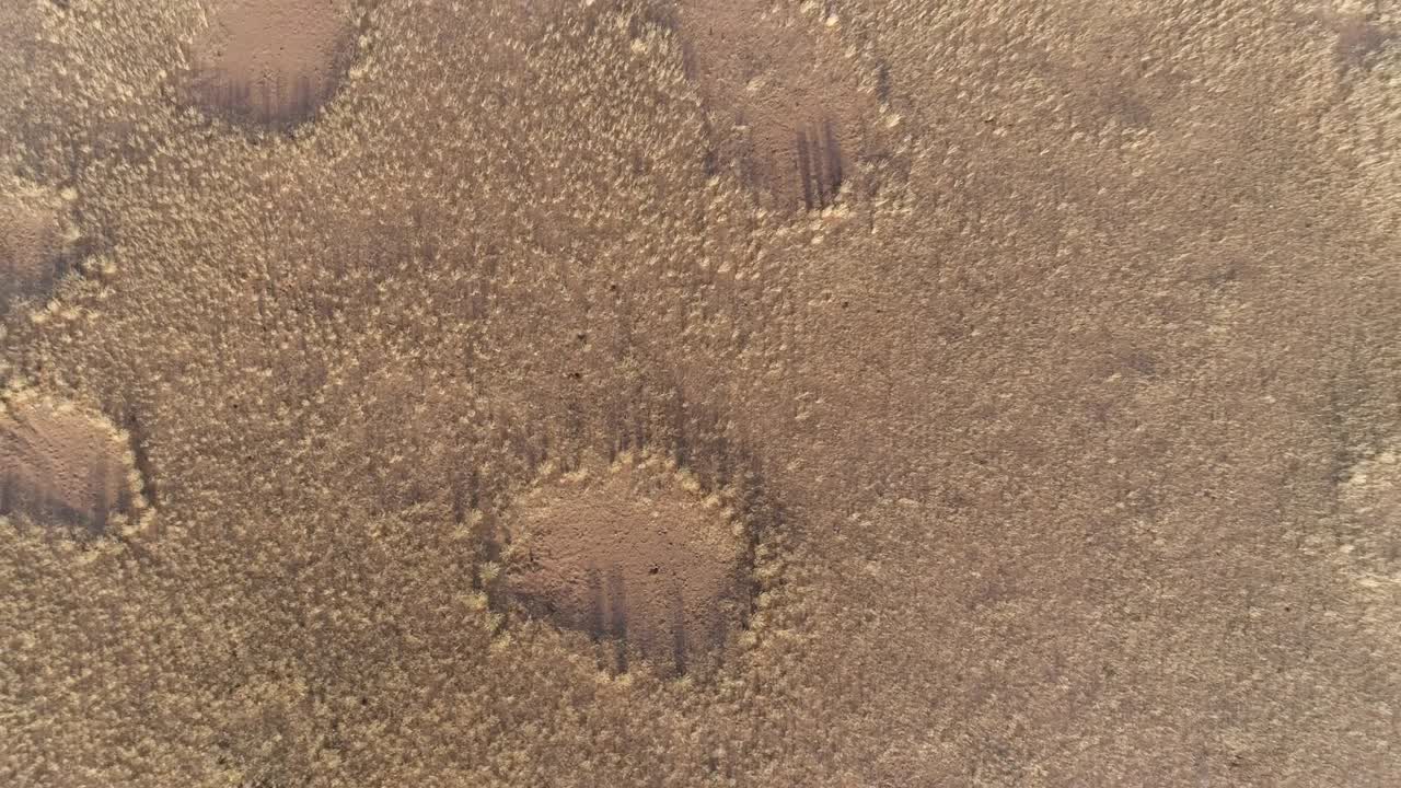 vista aérea de los famosos círculos de hadas en el desierto de namib con un vehículo turístico en el marco, namibia