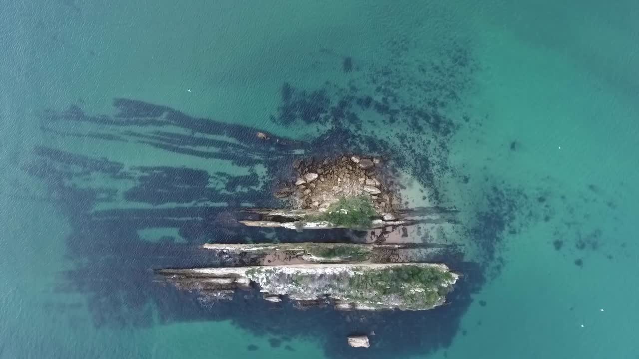 A bird's eye view of the zoological reserve Pedra da Anicha (in the beauty Arrabida Natural Park, Portugal), with many seagulls flying around