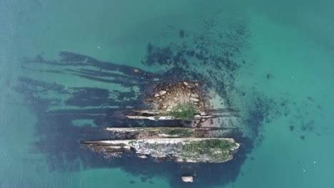 a bird's eye view of the zoological reserve pedra da anicha (in the beauty arrabida natural park, portugal), with many seagulls flying around