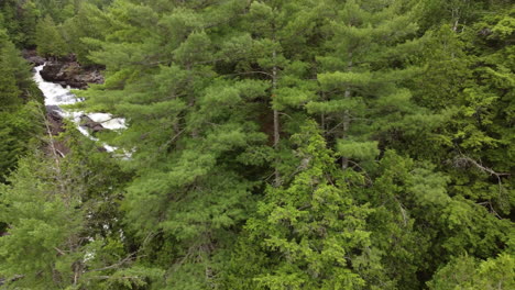 A-La-Deriva,-Revelando-Una-Cascada-Que-Atraviesa-Un-Exuberante-Bosque-Verde,-Pista-Aérea-Izquierda