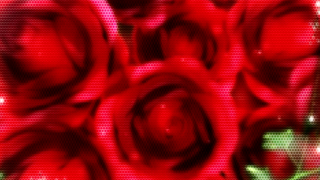 fondo animado en movimiento que muestra flores en movimiento pétalos de rosa crisantemo blanco