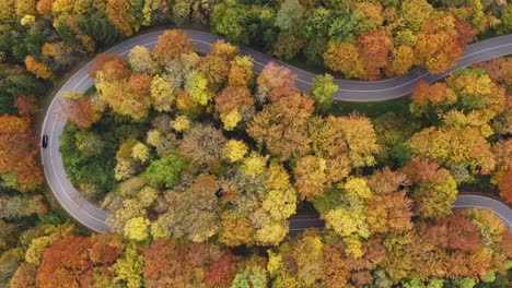 Un-Automóvil-Conduce-Detrás-De-Un-Ciclista-En-Una-Curva-Cerrada,-Filmado-Directamente-Desde-Arriba-En-Un-Maravilloso-Día-De-Otoño