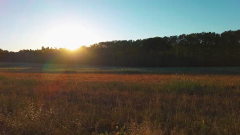 Vista-En-Cámara-Lenta-Desde-Un-Camión-En-Movimiento-De-Campos-Llenos-De-Vegetación,-Desde-Donde-Se-Puede-Ver-El-Amanecer-Detrás-De-Un-Bosque-De-árboles-Temprano-En-La-Mañana