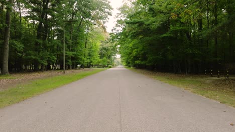 A-small-town-street-bordered-by-lush-trees-on-a-gloomy-day