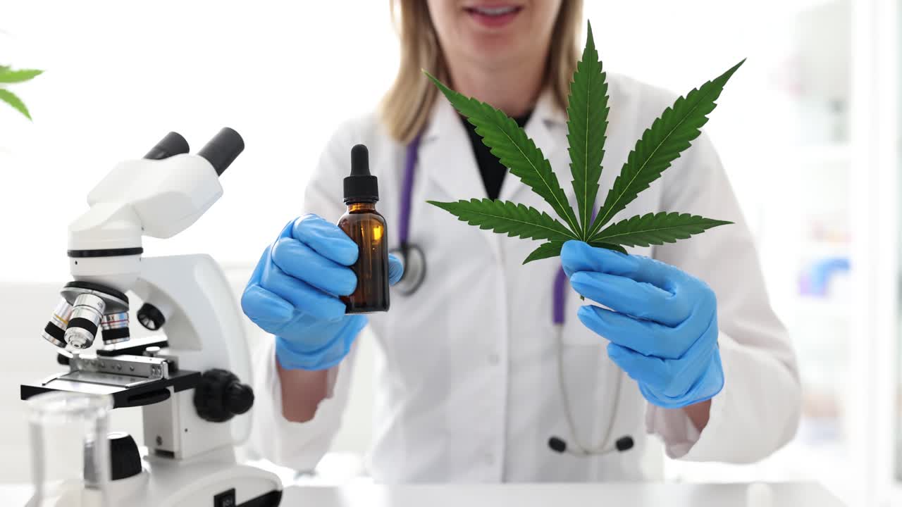 Bir Laboratuvarda Kannabis ve CBD Yağı Araştıran Tıp Uzmanı