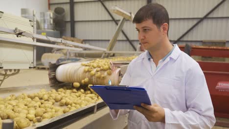 agronomist at food factory controlling potato.