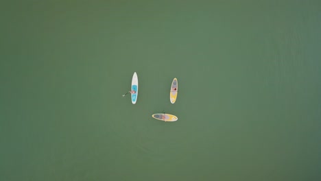 drone shot of three people paddle boarding on a lake on a sunny day