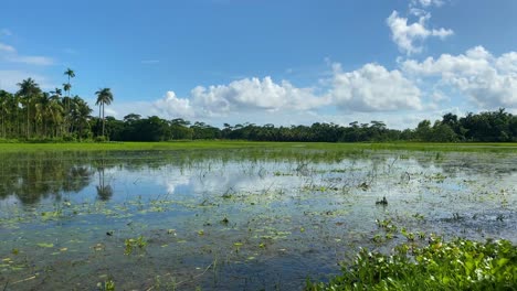 Timelapse-of-rural-countryside-landscape-of-Bangladesh