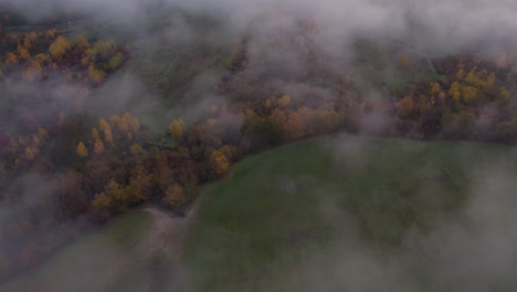 Rural-land-with-forest-covered-in-light-mist,-aerial