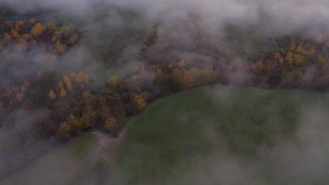 rural land with forest covered in light mist, aerial