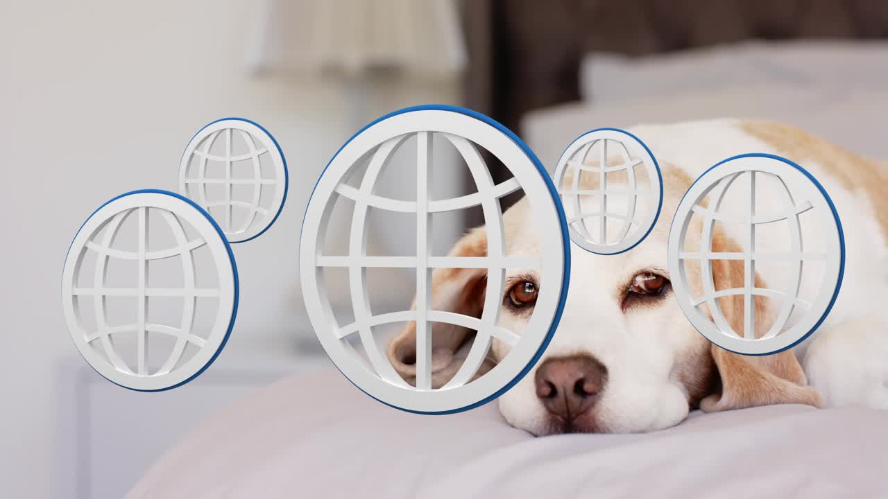 Beagle lying, globes sliding in from left and rotating, central globe covering eye grid as overlay