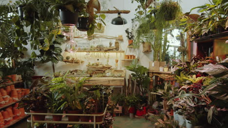 interior of room filled with lots of green plants