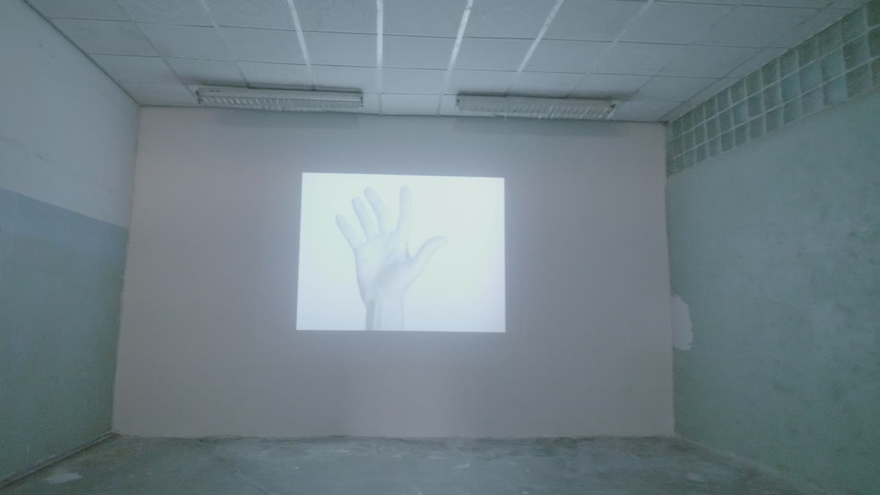 갤러리 벽에 투사된 손