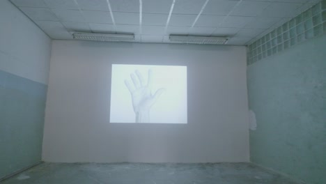 projected hand on gallery wall